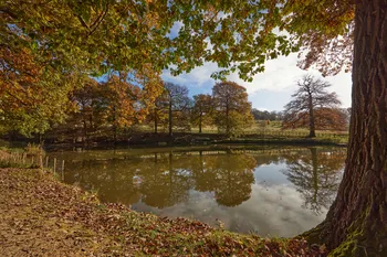 Autumn trees and lake.jpg